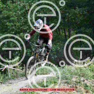 NIC_4531_tn