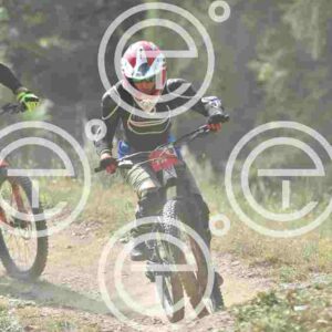 NIC_4708_tn
