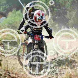 NIC_4711_tn