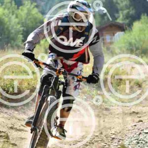NIC_4769_tn