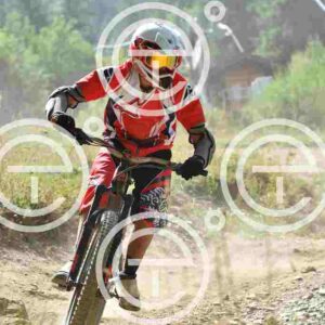 NIC_4786_tn