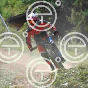 NIC_4798_tn