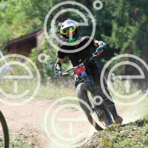 NIC_4812_tn