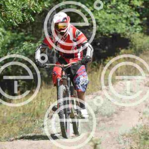 NIC_5012_tn