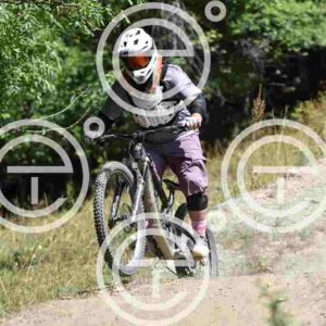 NIC_5025_tn
