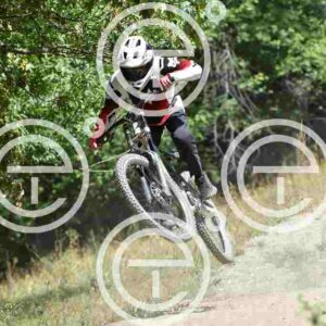 NIC_5053_tn