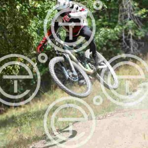 NIC_5054_tn