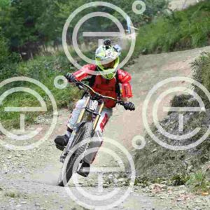 NIC_5106_tn
