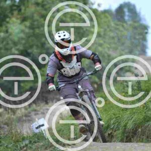 NIC_5128_tn