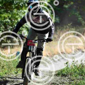 NIC_6340_tn