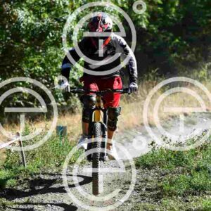 NIC_6359_tn