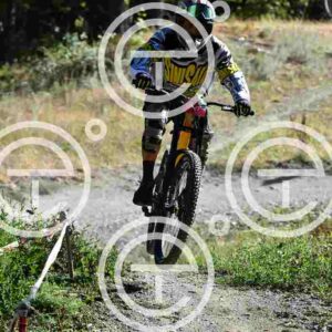 NIC_6397_tn