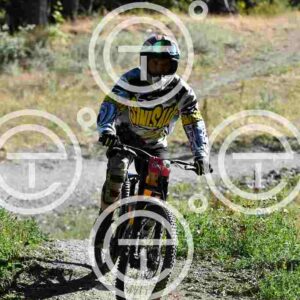 NIC_6399_tn