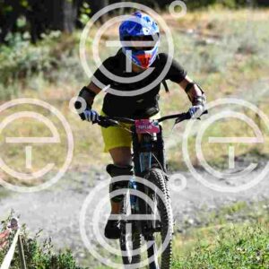 NIC_6405_tn