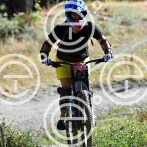 NIC_6406_tn