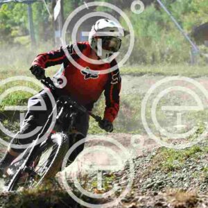 NIC_6521_tn