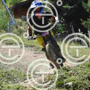 NIC_6541_tn