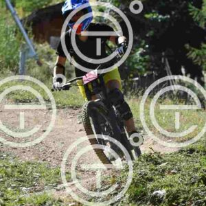 NIC_6542_tn