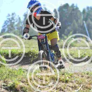 NIC_6633_tn