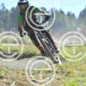 NIC_6662_tn