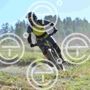 NIC_6668_tn