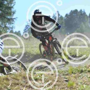 NIC_6672_tn