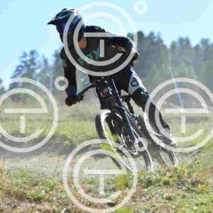 NIC_6684_tn