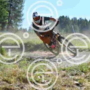 NIC_6709_tn