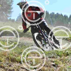 NIC_6721_tn