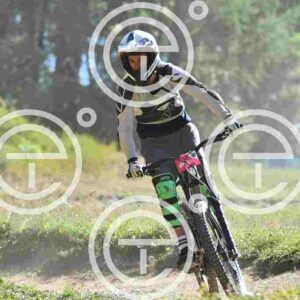 NIC_6734_tn
