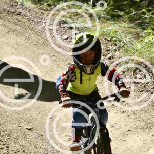 NIC_6785_tn
