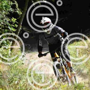 NIC_6793_tn