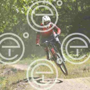 NIC_6947_tn