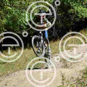 NIC_6954_tn