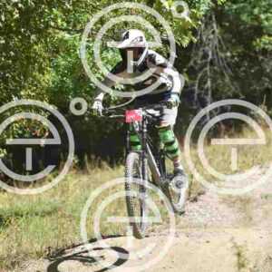 NIC_6978_tn