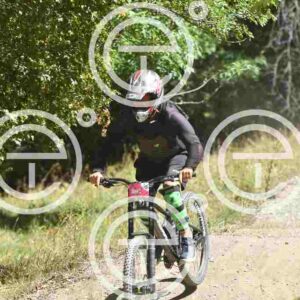 NIC_6983_tn