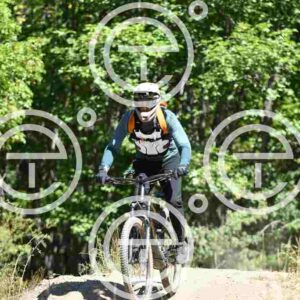 NIC_7105_tn