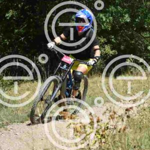 NIC_7125_tn