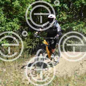 NIC_7136_tn