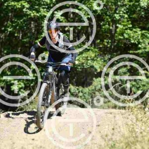NIC_7149_tn