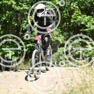 NIC_7184_tn