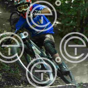 NIC_7208_tn