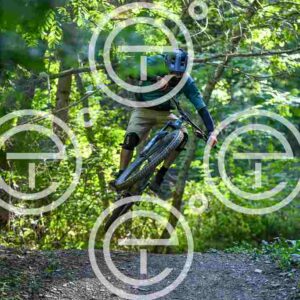 NIC_7491_tn