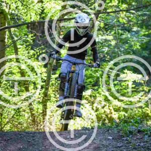 NIC_7610_tn
