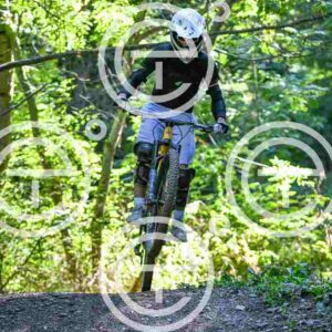 NIC_7611_tn