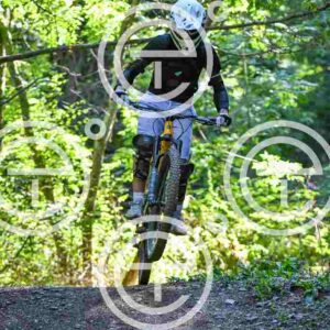 NIC_7612_tn