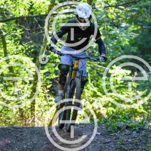 NIC_7613_tn