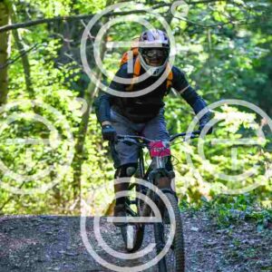 NIC_7624_tn