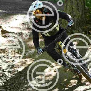 NIC_7935_tn