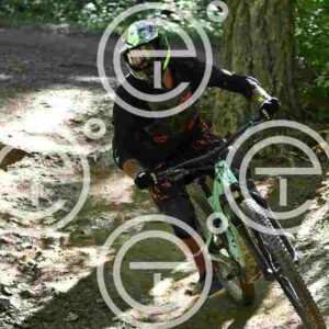 NIC_7943_tn